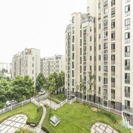 �\�������ͽ������ھ�����