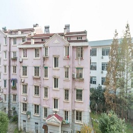 �|��Է���ͽ������ھ�����