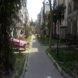 �����´���ͽ������ھ�����